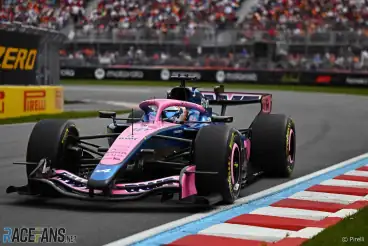 Second groundhog hit by Formula 1 car during Canadian GP weekend