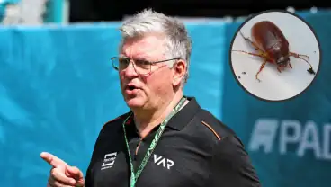 Formel 1: Ex-Teamchef enthüllt: Ingenieur nutzte Käfer zur Wettervorhersage